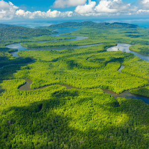 Quepos to Sierpe de Osa