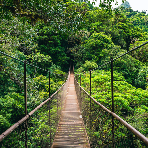 Quepos to Monteverde